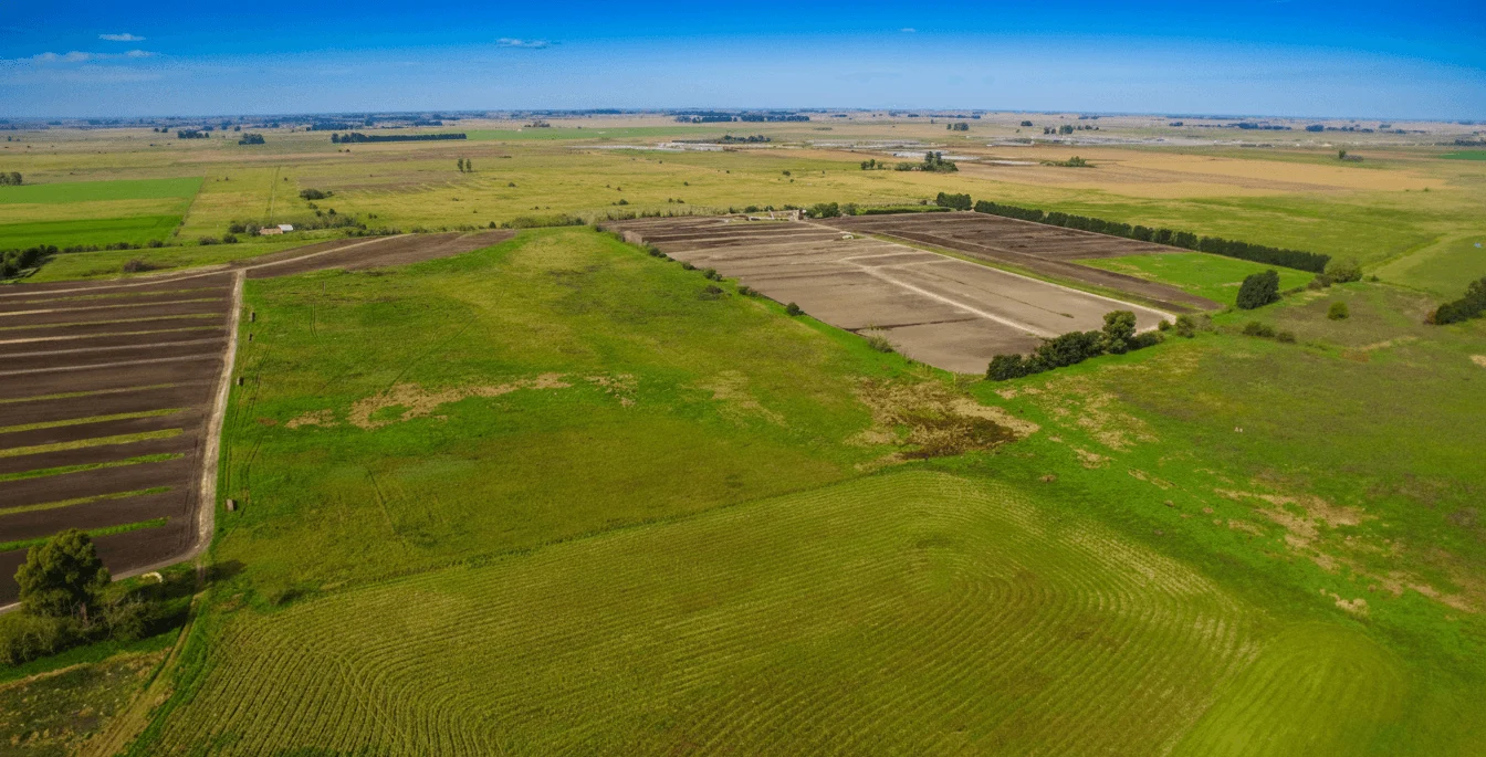 planta_drone_2_1